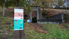 Bosque Atl&aacute;ntico de Cerveiros, en Bergondo