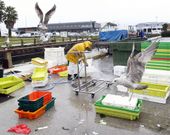 <span lang= gl >A compostaxe pode ser a v�a para reciclar este tipo de restos. </span>