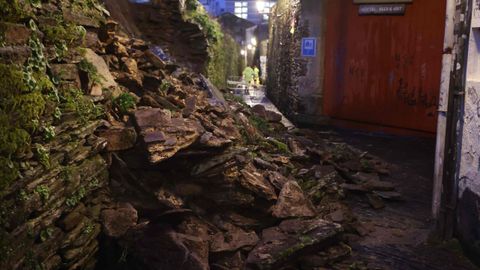 El derrumbe oblig� a cortar la r�a do Moucho