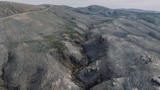 Manzaneda muestra las cicatrices de las llamas