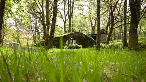 El �rea de O Caneiro, en As Pontes, est� equipada con parrillas y zona de ba�o
