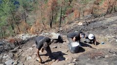 Las excavaciones se realizan en una zona que result� quemada en un incendio forestal que se produjo durante este verano