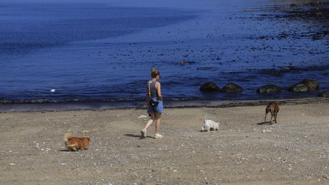 La playa canina de Bens, A Coru�a