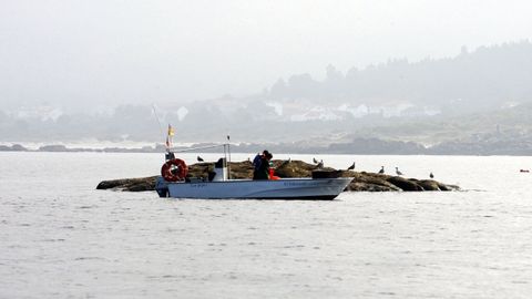 Reserva marina de Lira