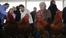 Los visitantes disfrutaron con la calidad de los ejemplares. 