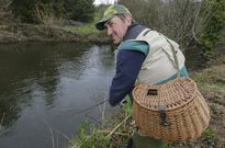 El Anll�ns es el r�o de la zona m�s afectado por la invasi�n del cormor�n for�neo. 