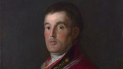 Detalle del retrato del duque de Wellington pintado por Goya entre los a�os 1812 y 1814.