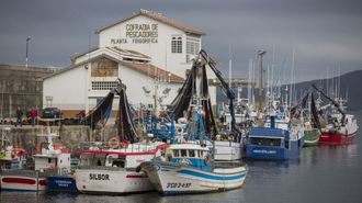 Foto del puerto de Malpica
