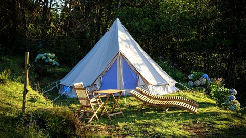 Tipi montado en la parcela, rodeada de bosque