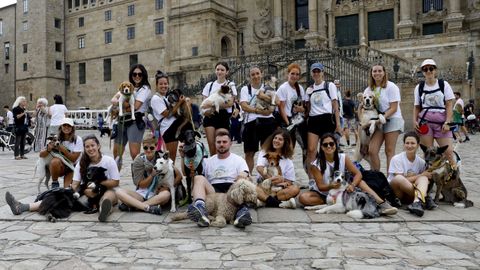 Llegada a Santiago de la novena peregrinaci�n con perros organizada por dos profesoras de Vigo. Desde hace cinco veranos impulsan rutas con otros propietarios de animales y han recorrido tanto el itinerario franc�s como el portugu�s. Ya planean para febrero la siguiente aventura, por una variante jacobea. Llevan como apoyo un coche escoba para cargar los bultos y servir de apoyo a las personas o mascotas. jacobo rodr�guez