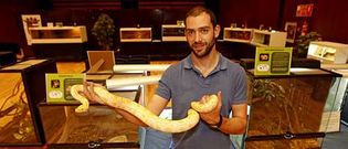 El organizaci�n de la exposici�n de reptiles, Diego Ballesteros, muestra un ejemplar de ofidio en el multiusos de Mos.