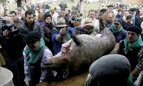 Este a�o, a diferencia de otras ediciones, la matanza tendr� lugar al aire libre en una carpa.