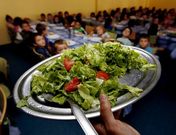 La mayor�a de los comedores escolares son gestionados por empresas de c�tering.