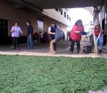 Las alfombras melidenses se elaboran con tuyas y serr�n. 