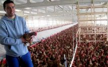 Con apoyo del GDR, un joven de Melide puso en marcha una explotaci�n av�cola de huevos camperos.