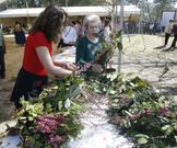 Los romeros que ayer acudieron a San Cibr�n, en Tomeza, cumplieron con los ritos de pasar por debajo de la imagen del santo, dar nueve vueltas a la ermita y tirar nueve piedras al tejado para espantar el meigallo, adem�s de comprar las hierbas m�gicas que una vez bendecidas protegen las casas del mal de ojo y de los malos augurios. 