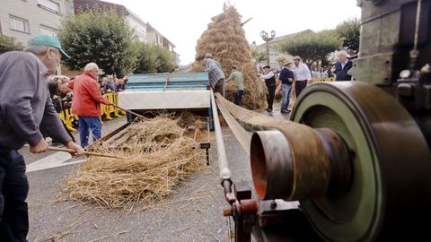 Meira reivindic� los trabajos acestrales del campo en una nueva edici�n de la Festa da Malla.