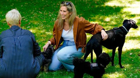 Un dispositivo a modo de arn�s para perros, vinculado a una aplicaci�n, que mide par�metros como la respiraci�n, actividad y temperatura de los animales