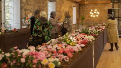 Imagen de archivo de la exposicin de la camelia de Boiro.