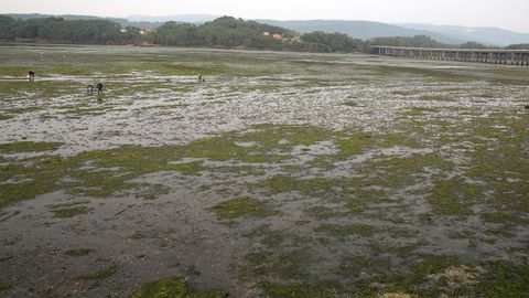 Mareas vivas en Rianxo.