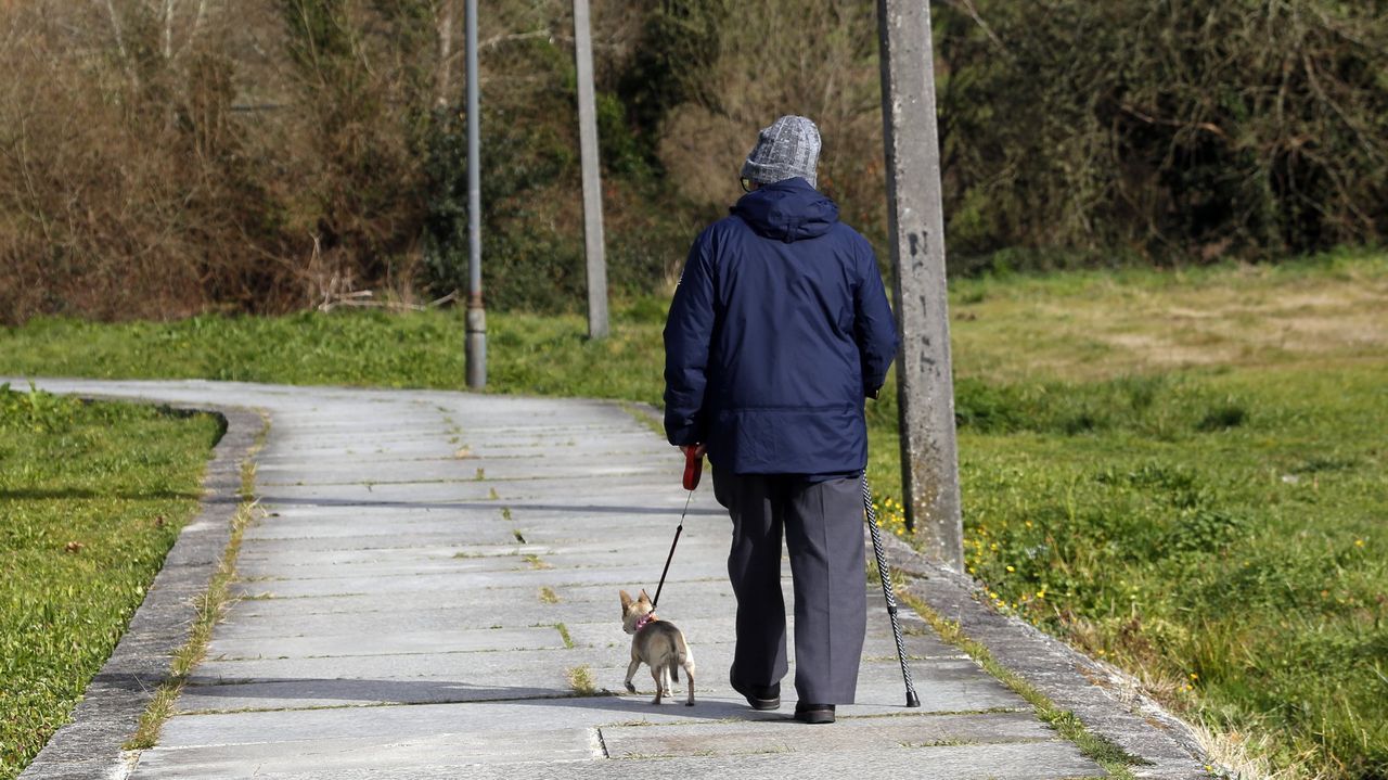 Lugo y Ourense registran tantos pensionistas como asalariados