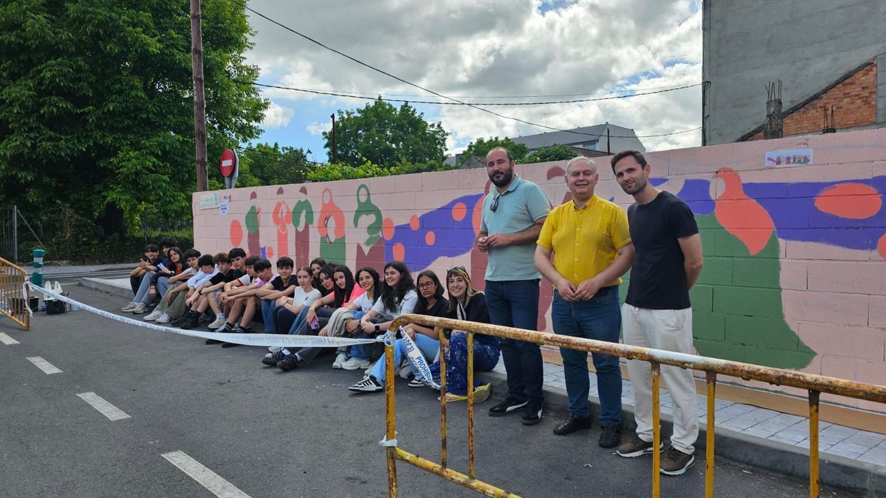 Alumnado del IES Chamoso Lamas y usuarios de Aspadisi decoran el casco ...