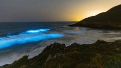 As� se iluminaba el mar en la madrugada del lunes al martes en la playa malpic� de San Miro. 