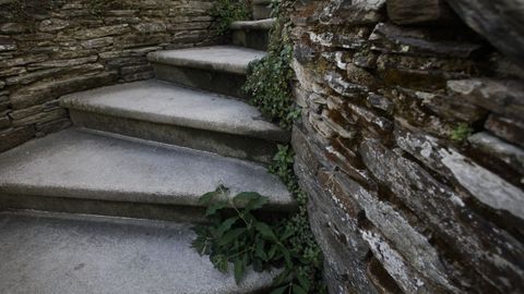 Las malas hierbas crecen en todos los rincoles de la Muralla, a la espera de que las corten