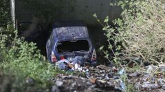 El Sar y el Roxos, dos r�os hermanos totalmente diferentes por la contaminaci�n