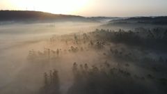 La niebla cubri� A Picota