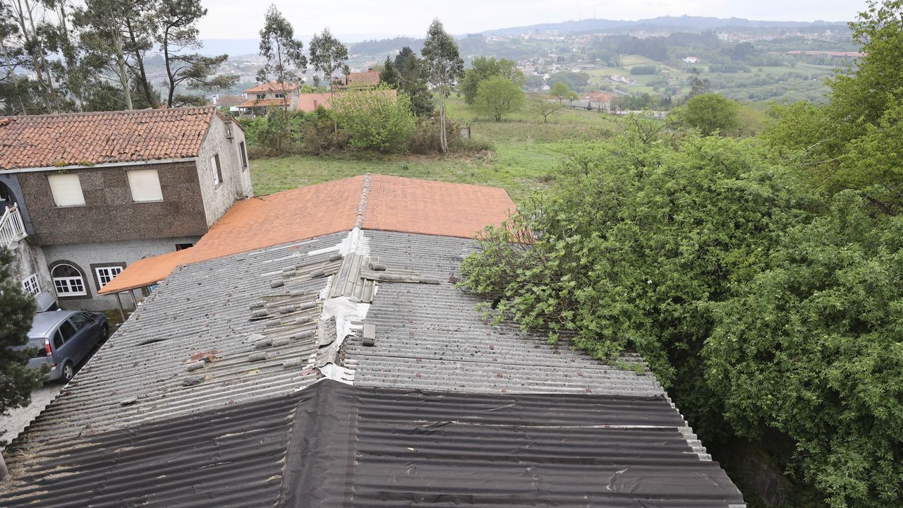 Una familia de Santiago espera desde hace dos años que limpien la maleza de varios metros de altura de la finca que linda con su vivienda