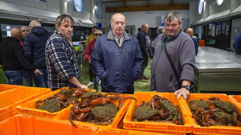 Inicio de la campaa de la centolla en la lonja de Bueu