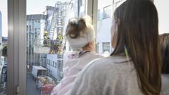 Cuando regalos e ilusi�n llegan por la ventana al hospital de Pontevedra