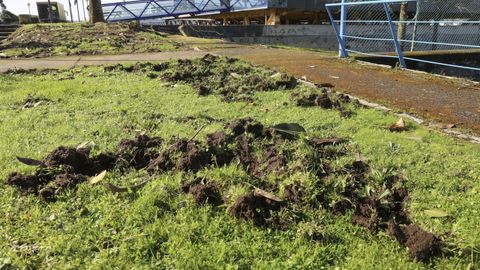 En la imagen, destrozos de los jabales cerca del albergue de peregrinos