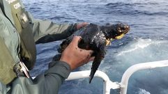 El vertido ya es visible desde el aire aunque el parecer se aleja de las Islas Canarias