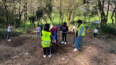 As� fue la plantaci�n promovida por Garc�a S�nchez en el pazo de Goi�ns