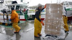 El veto a toda la pesca de fondo perjudica al arte considerado ms selectivo, el palangre, como el que emplea este pincheiro de Gran Sol en el que cargan cajas con cebo en Celeiro (foto de archivo)