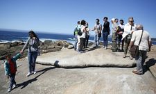 Desde que fue colocado en su lugar la Pedra ya ha recibido muchas visitas. 