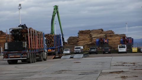 Camiones de madera en el puerto de Burela