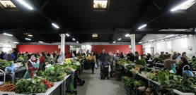 Las noventa vendedoras que en las �ltimas semanas estuvieron fuera de la plaza recuperaron sus renovadas bancadas. 