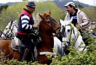 La exhibici�n de alta doma caballar fue uno de los actos centrales de la semana.