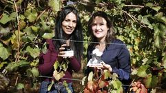 Ponte vino en la cara