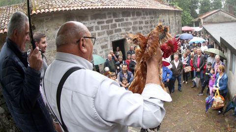 ROMERIA SAN BENITO DE SERANS 2024