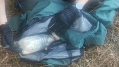 El gato se encontraba atorado en la botella