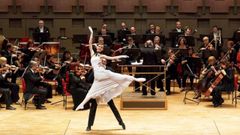 Strauss Festival Orchestra