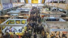 Mas de setenta expositores participan en la Festa do Queixo de Arz�a, que este a�o cumpi� 51 ediciones