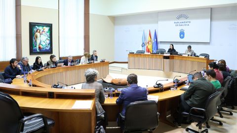 La Comisi�n de Pesca del Parlamento de Galicia, el 18 de febrero del 2026, cuando se rechaz� la propuesta socialista de paridad entre hombres y mujeres en los �rganos de gobierno de las cofrad�as de pescadores.