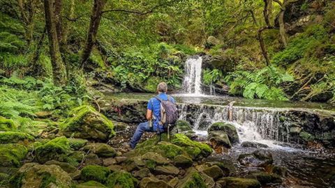 Senda La Regueirina, en Tineo.