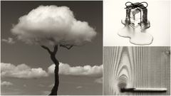 Detalle de tres de las im�genes del fot�grafo Chema Madoz: �rbol nube, cubito de hielo regalo y cerilla.