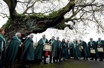 Los nuevos cofrades de la Orden del Caldo posaron junto al roble de Santa Margarita.